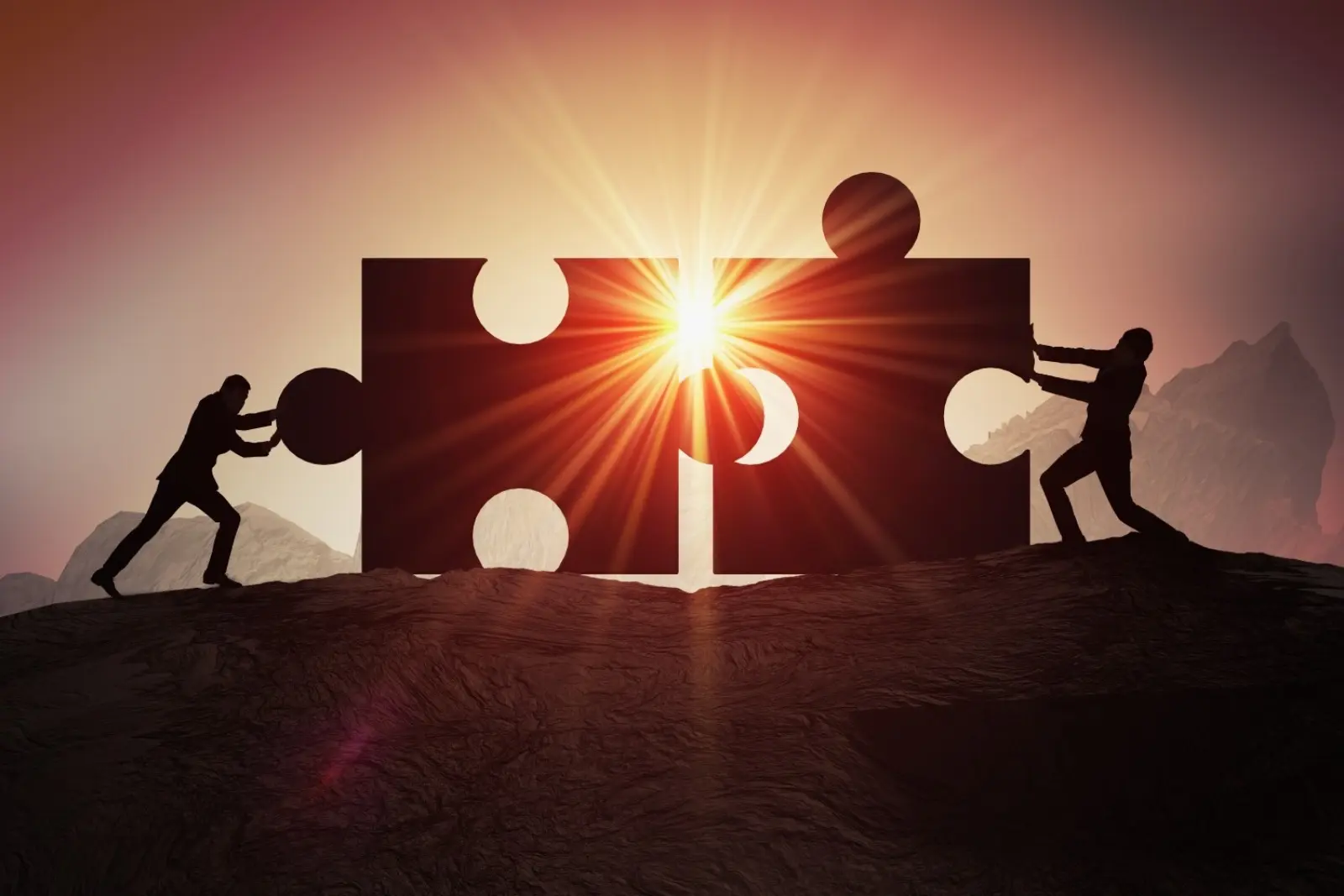 Partnership Opt