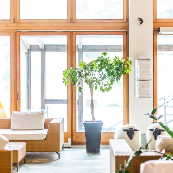 Co Living