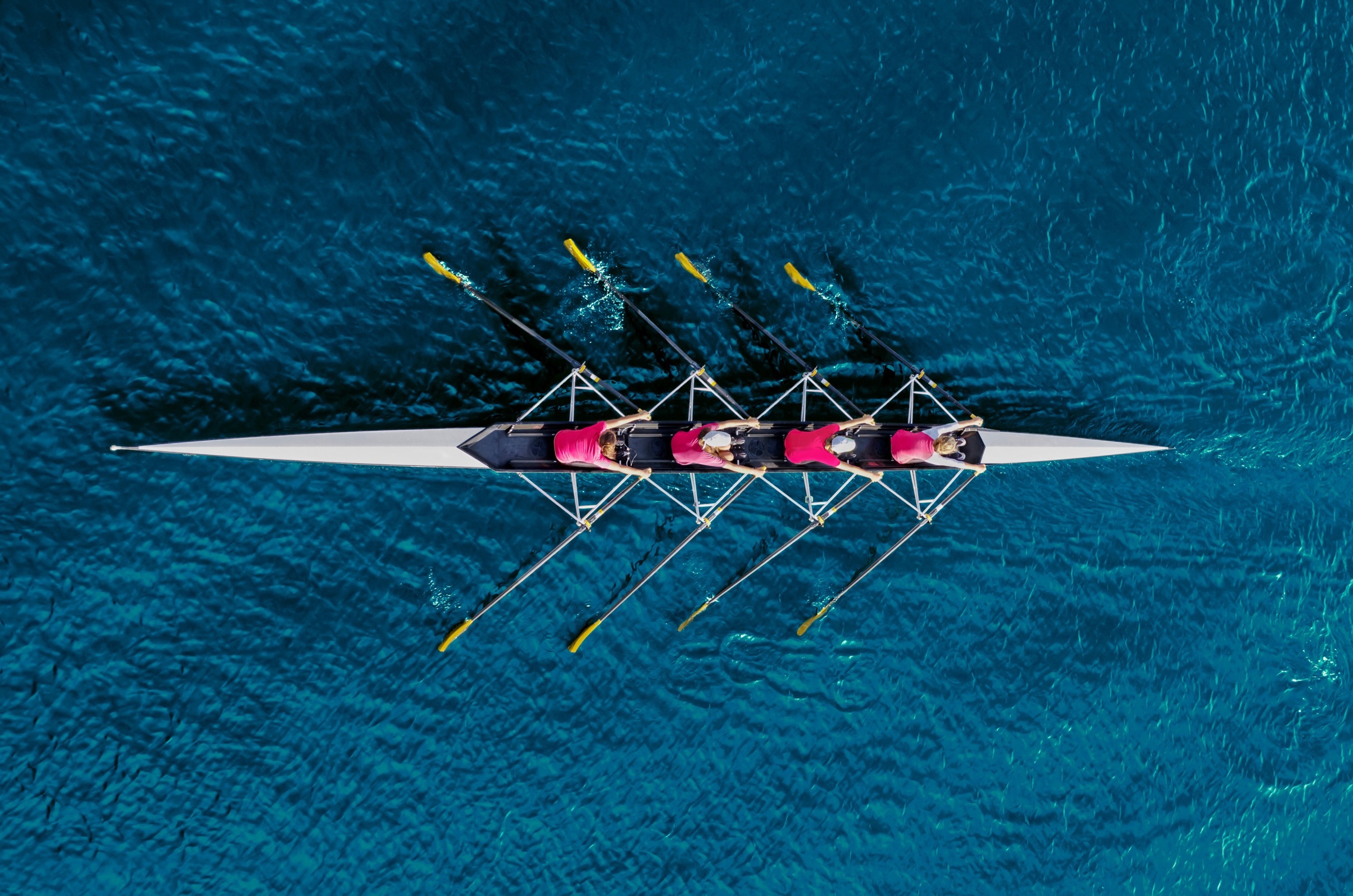 Affiliate Banner